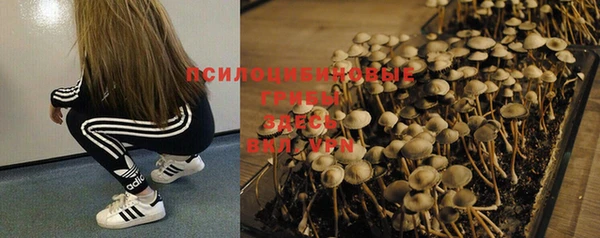 MESCALINE Алексеевка