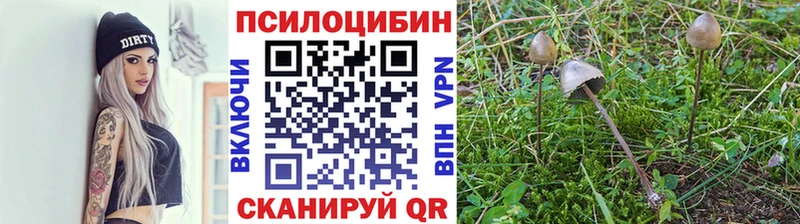 Галлюциногенные грибы мицелий Почеп